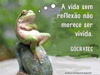 /album/reflex%c3%a3o/a254297-462297657153835-404117960-n-jpg/